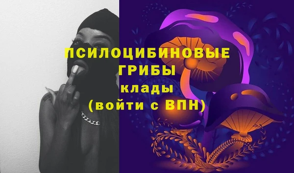 apvp Верея