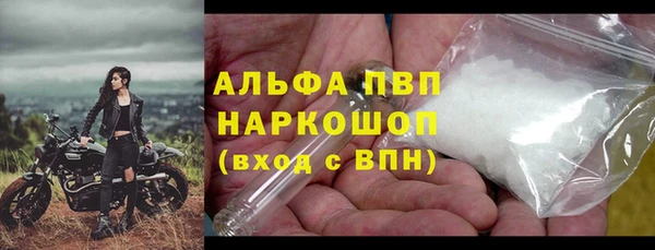 apvp Верея