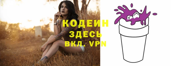 apvp Верея