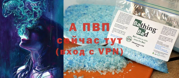 apvp Верея