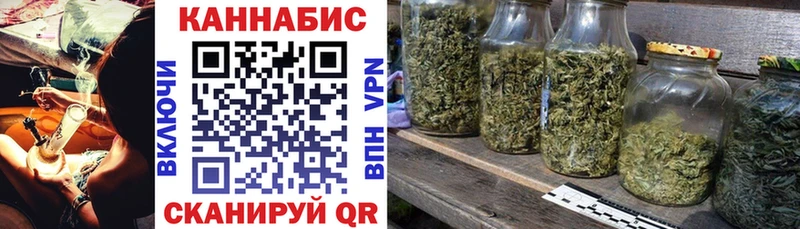 магазин  наркотиков  Ногинск  Бошки Шишки семена 